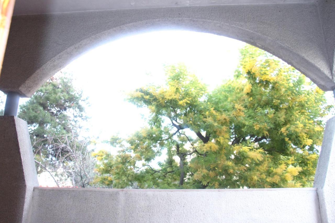 Ari B&B Montesilvano Marina エクステリア 写真