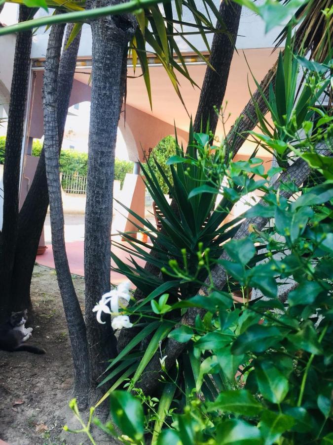 Ari B&B Montesilvano Marina エクステリア 写真